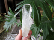 モンドクォーツ 高品質タンザニア産水晶原石の通販/販売 |【鬮石】天然石専門店 ツイン レコードキーパー レインボー ストレーション