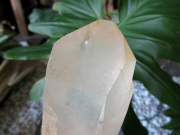 タンジェリーナクォーツ 水晶 原石 ブラジル産