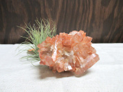 カテドラル✨　タンジェローズクォーツ　タンジェリン　原石　クラスター カテドラル✨ タンジェローズクォーツ タンジェリン 原石 クラスター