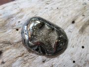 アンモナイト パイライト ルース ロシア産 天然石専門店