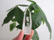 コロンビア産 レムリアンシードクリスタル 最高品質 水晶 原石