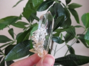 コロンビア産 レムリアンシードクリスタル 最高品質 水晶 原石