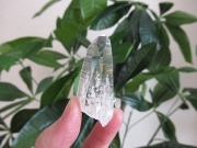 コロンビア産 レムリアンシードクリスタル 最高品質 水晶 原石
