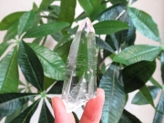 高品質 コロンビア産 レムリアンシードクリスタル 原石 水晶