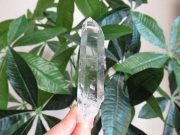 高品質 コロンビア産 レムリアンシードクリスタル 原石 水晶