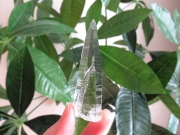 最高品質 コロンビア産 レムリアンシードクリスタル 原石 水晶