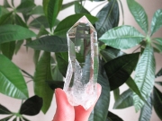 コロンビア産 レムリアンシードクリスタル 水晶 原石 天然石