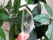 コロンビア産 レムリアンシードクリスタル 水晶 原石 天然石