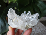 ブラジル ミナスジェライス州 ゼカ デ ソーザ 水晶 クラスター 原石