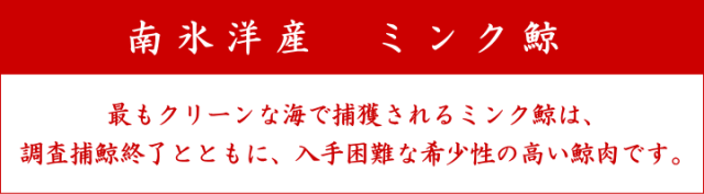 1971年捕獲希少南氷洋ミンククジラのヒゲ 1971年捕獲希少南氷洋ミンククジラのヒゲ （クロミンククジラ