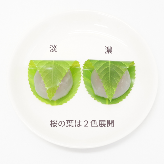 人工桜葉