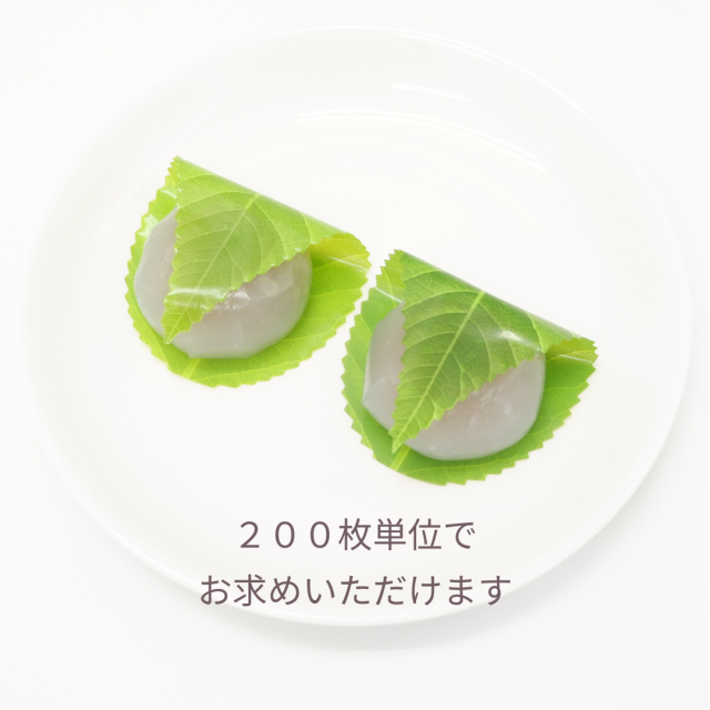 人工桜葉