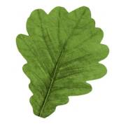 紙柏　バラン　【ネコポス可】