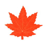 人工葉　紅葉 バラン　【ネコポス可】/H-008/紅葉（オレンジ）