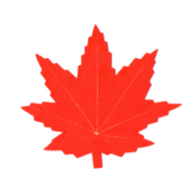 人工葉　紅葉 バラン　【ネコポス可】/H-007/紅葉（赤）