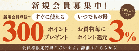 新規会員登録で300ポイント