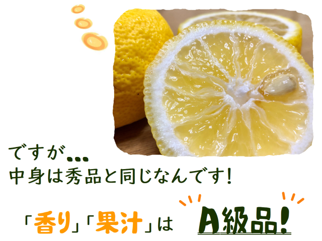 柚子(ゆず)通販ページ 【ゆず専門SHOP】