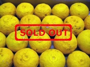 柚子(ゆず)通販ページ 【ゆず専門SHOP】