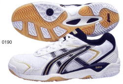 ASICS（アシックス）　バレーボールシューズ　ローテリブレEX4　TVR441