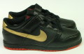 ナイキ ダンク LOW GS(NIKE DUNK LOW GS)　YEAR OF DRAGON　309681 076