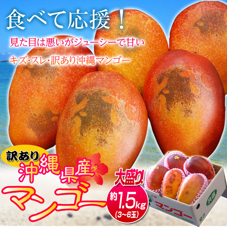 ★期間限定！新発売★太陽の恵み★＼芳醇な香りと濃厚な甘み／【送料無料】沖縄産 完熟 訳あり マンゴー 約1.5kg (3～6玉)「沖縄産訳ありマンゴー」