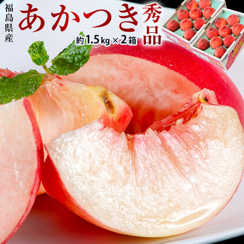 【お中元】＼ たっぷり3kg ／【送料無料】【産地直送】福島産 伊達の 桃 あかつき 3kg （1.5kg 5〜9玉入）2箱セット「伊達の桃 あかつき」 7月28日〜8月1日出荷