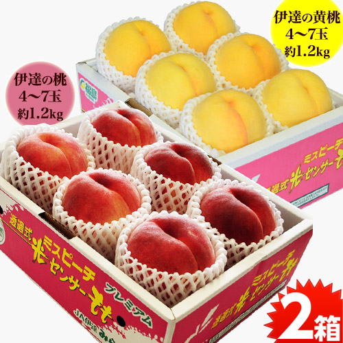 【マーさん】山梨県産の桃『日川白鵬』訳ありの桃、2箱セットです！ 山梨県産 桃 日川白鳳 | 業務仕入・見積なら食品卸売の生鮮卸売市場