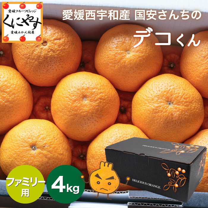 ファミリーデコ4kgサムネイル