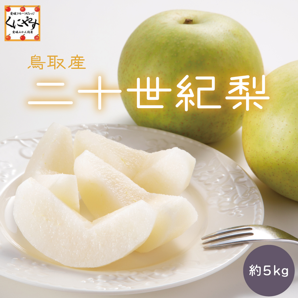 ★ご予約受付中！梨の中ではトップクラスの果汁量★【送料無料】【ギフト】【贈答用】鳥取産 二十世紀梨 青梨の代表品種「二十世紀梨 約5kg」梨 ナシ お取り寄せ 和梨