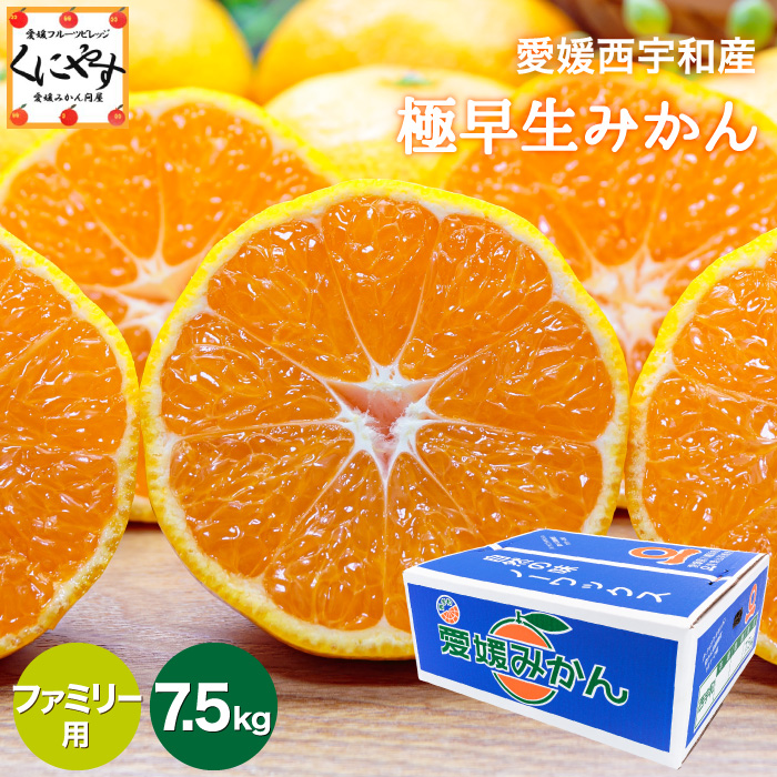 「ファミリー極早生みかん7.5」【予約品】10月中旬～下旬頃発送予定【送料無料】【産地直送】【ギフト】ファミリー用 愛媛西宇和産 極早生みかん 7.5kg  
