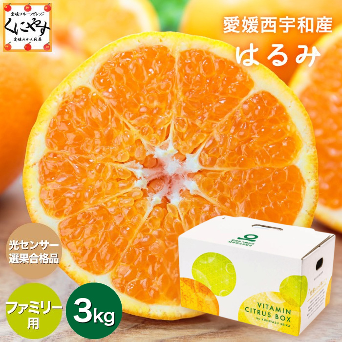 「ファミリー愛媛はるみ3」【送料無料】【ギフト】【産地直送】ファミリー用 愛媛産 はるみ 3kg デコくん(通称デコポン)の兄弟分【1～5営業日以内発送予定】