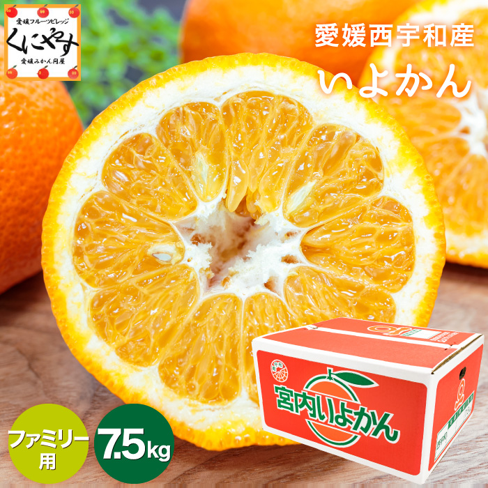ファミリーいよかん7.5kg