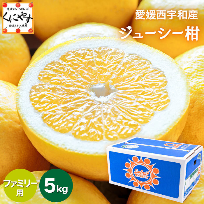「ファミリージューシー柑5」【送料無料】【ギフト】【産地直送】愛媛西宇和産ジューシー柑 ファミリー用 5kg (別名：河内晩柑 和製グレープフルーツ 宇和ゴールド 美生柑 愛南ゴールド)晩柑 みかん＼創業85年 愛媛みかん の老舗／