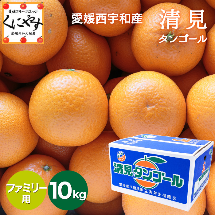 ファミリー清見10kg