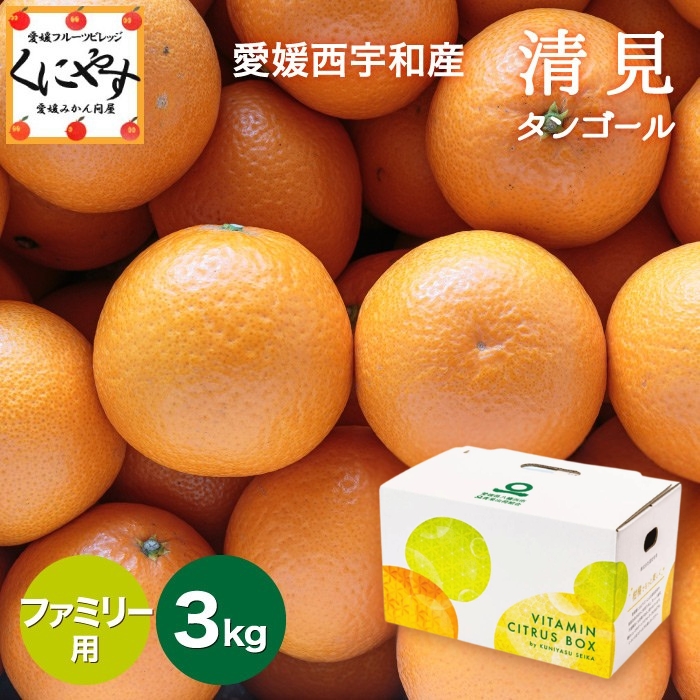 「ファミリー清見3」【送料無料】【ギフト】【越冬完熟品】愛媛西宇和産清見タンゴール ファミリー用3kg/デコポン・せとかの母【1～5営業日以内当店発送予定】
