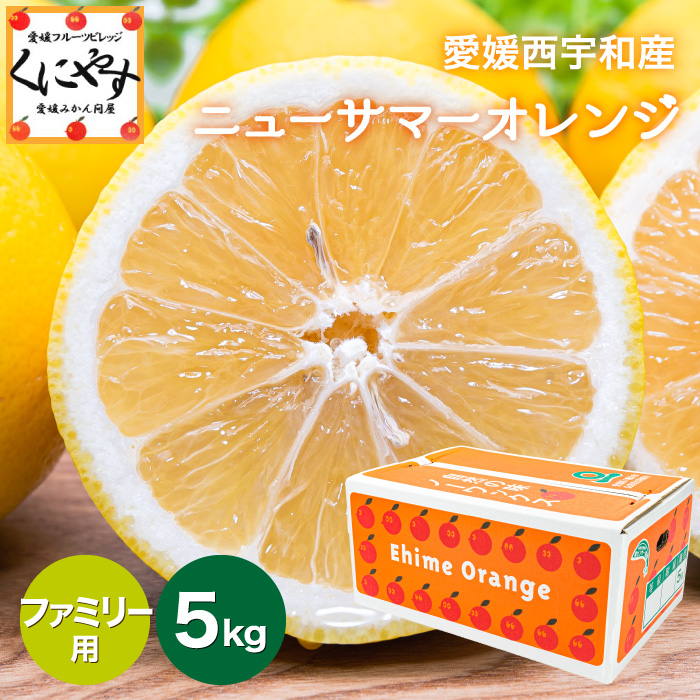 「ファミリー小夏5」【送料無料】【産地直送】愛媛西宇和産ニューサマーオレンジ(小夏) ファミリー用5kg