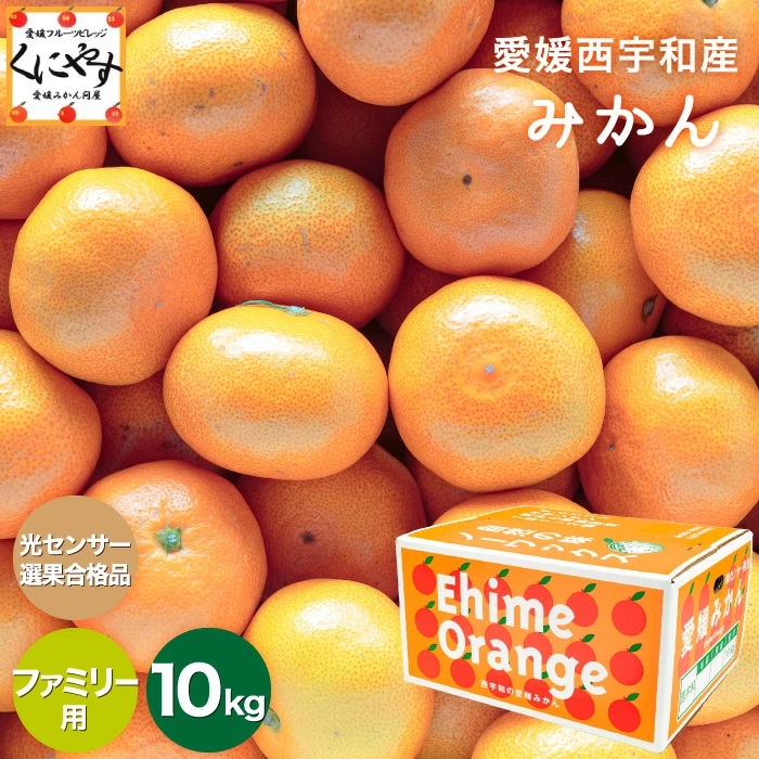 ファミリーみかん10kg