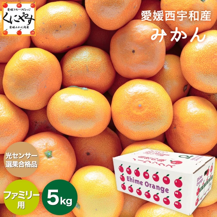 ファミリーみかん5kg