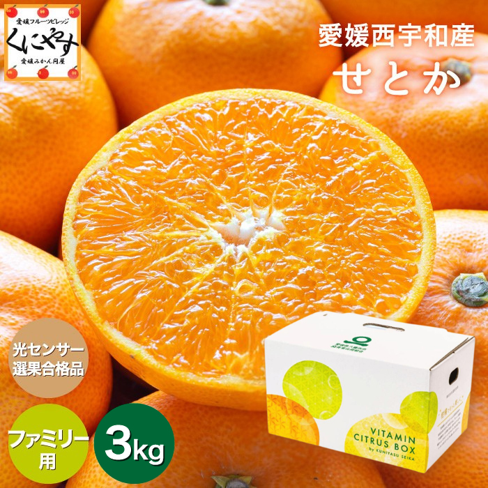 「ファミリーせとか3」【送料無料】愛媛西宇和産せとか ファミリー用3キロ/究極の柑橘！みかんの大トロ【1～5営業日以内発送予定】