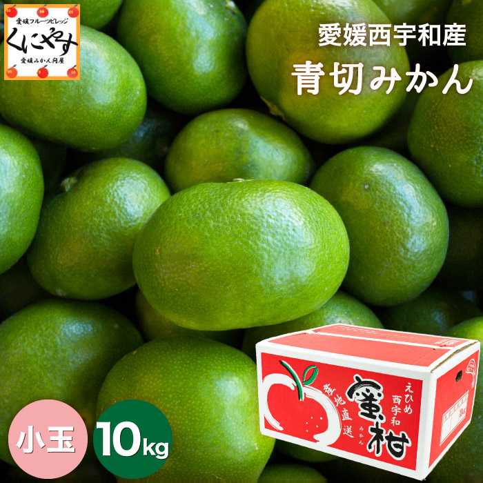 「小玉青切みかん10」【送料無料】【ギフト】【産地直送】愛媛西宇和産青切小玉みかん 10kg
