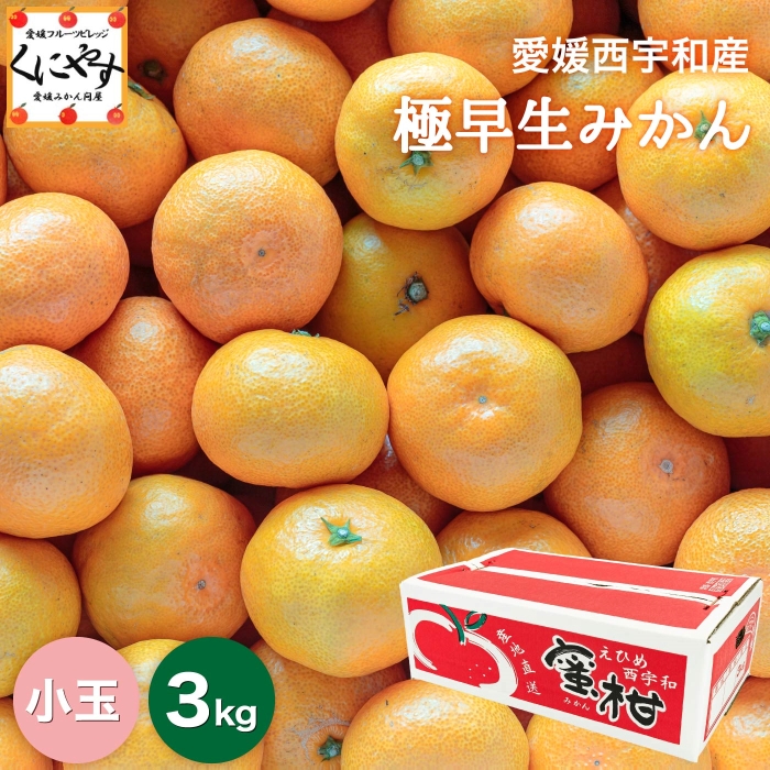 愛媛県西宇和産極早生みかん 3Kg