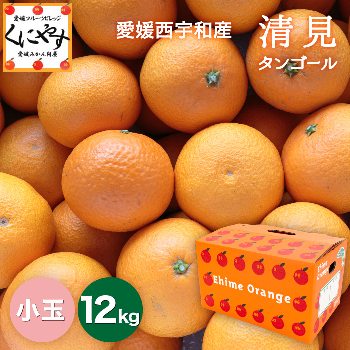 小玉清見12kg