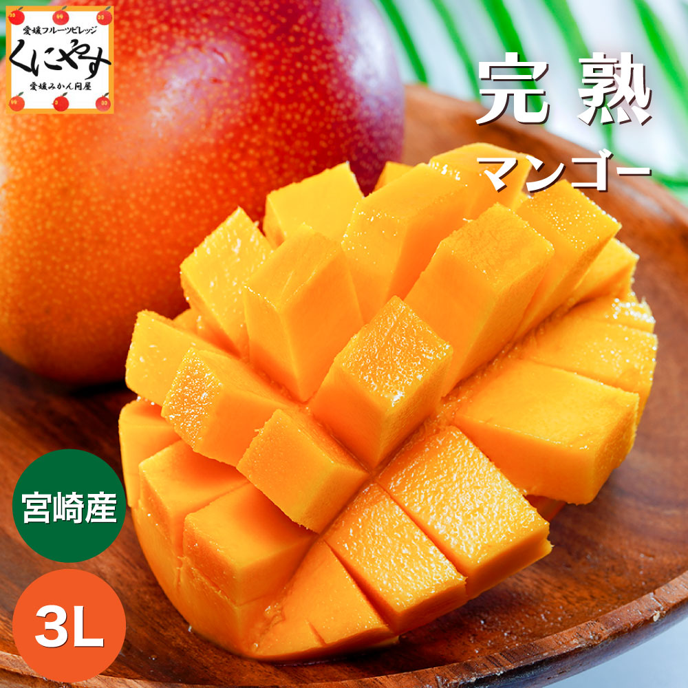 「宮崎産マンゴー」★太陽の恵み★芳醇な香りと濃厚な甘み★【送料無料】【贈答用】【ギフト】 みやざき 完熟 マンゴー 2～3Lサイズ （1玉：350～499g） 宮崎マンゴー