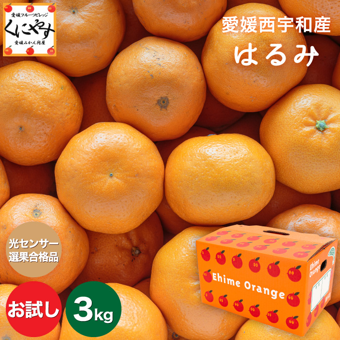 お試しはるみ3kg