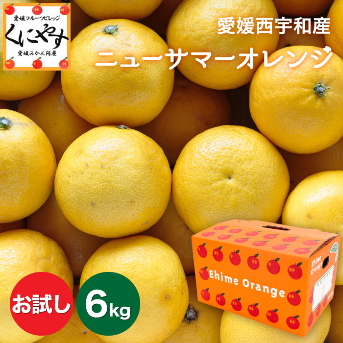 「お試し小夏3×2」【送料無料】【産地直送】愛媛西宇和産ニューサマーオレンジ(小夏)お試し 6kg(3kg×2箱)
