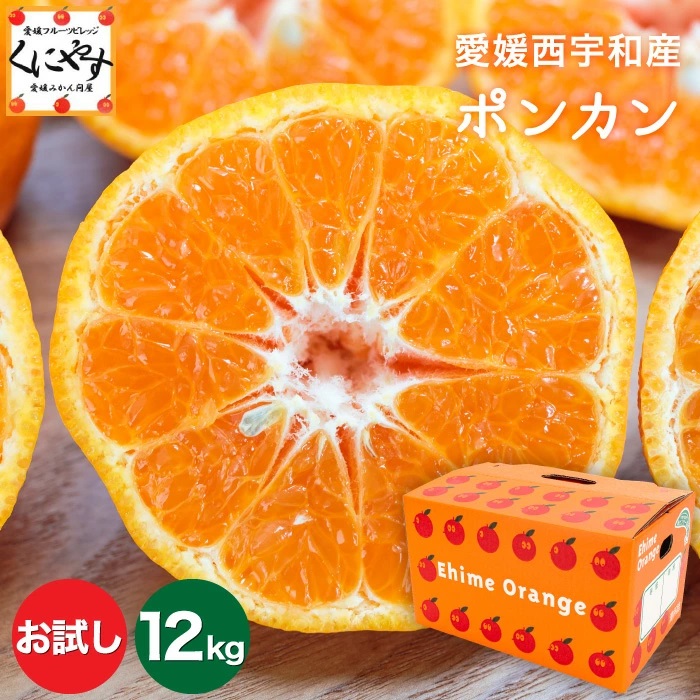 「お試し愛媛ポンカン3×4」【送料無料】【産地直送】お試し 愛媛産 ポンカン 12kg (3kg×4箱)みかんのように手で剥いてパクパクお手軽【1～5営業日以内発送予定】