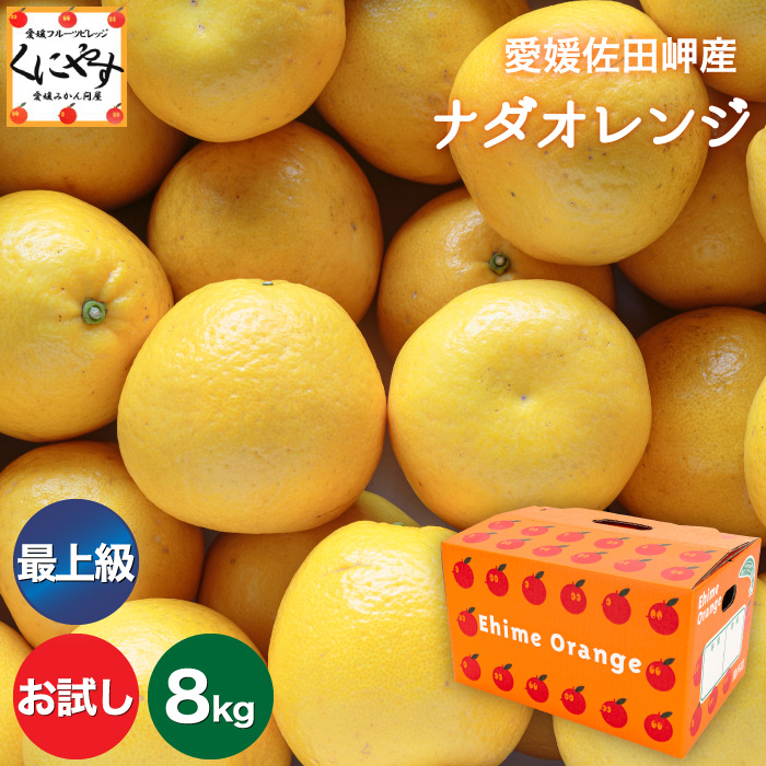 「お試し最上ナダオレ2×4」【最上級こだわり品】【送料無料】【産地直送】愛媛佐田岬産ナダオレンジ お試し8kg (2kg×4箱)