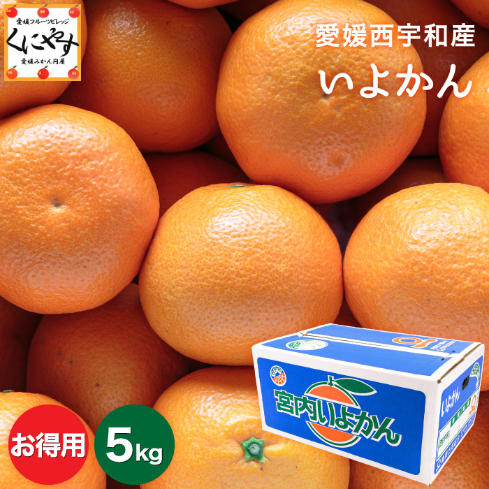 お得いよかん5kg