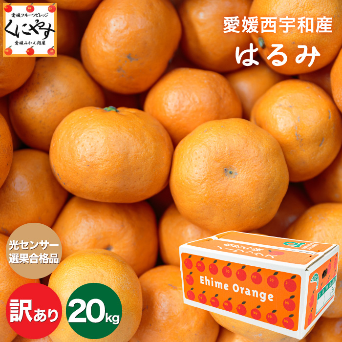 「訳あり愛媛はるみ5×4」★糖度12.0度以上酸1.4以下★ 愛媛 みかん の老舗【送料無料】【産地直送】愛媛産 はるみ 訳あり 20kg（5kg×4箱） デコくん  (通称 デコポン ) の兄弟分 ハルミオレンジ【1～5営業日以内発送予定】
