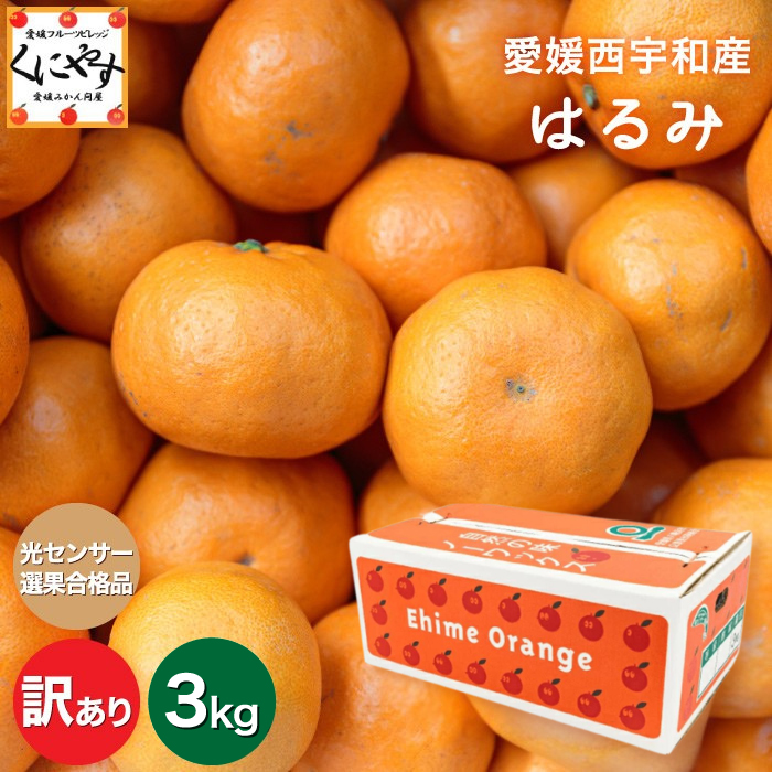 「訳あり愛媛はるみ3」★糖度12.0度以上酸1.4以下★ 愛媛 みかん の老舗【送料無料】【産地直送】愛媛産 はるみ 訳あり 3kg デコくん  (通称 デコポン ) の兄弟分 ハルミオレンジ【1～5営業日以内発送予定】